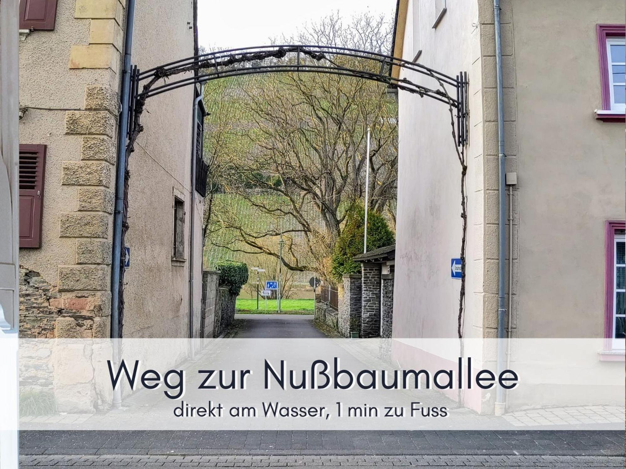 Komfort Fewo L Moselstay L Maximal 4 Personen Und Baby I Brauneberg Mosel I Wifi I エクステリア 写真