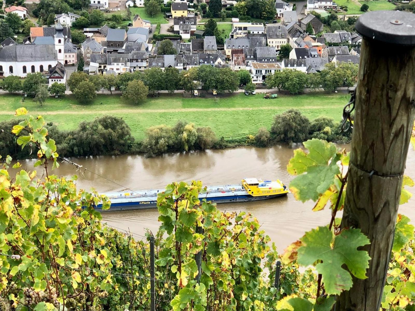 Komfort Fewo L Moselstay L Maximal 4 Personen Und Baby I Brauneberg Mosel I Wifi I エクステリア 写真